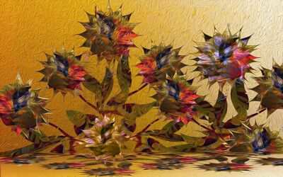 Click here to view at full resolution.