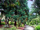 Park Scene 5 by Ramad, photography->gardens gallery
