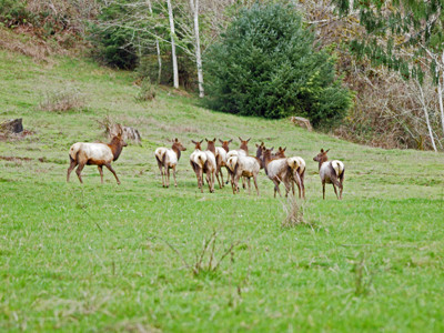 Click here to view at full resolution.
