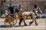 Gig Ride Folklore 05 by corngrowth, photography->general gallery