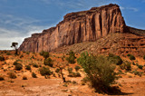 leaning trees and a rock face at monument valley by jeenie11, photography->landscape gallery