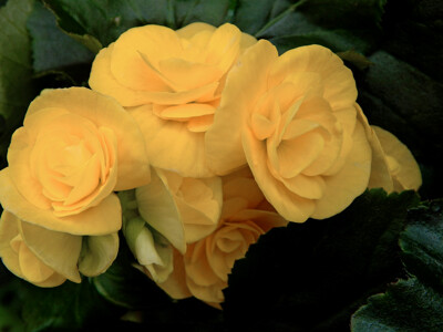 Click here to view at full resolution.