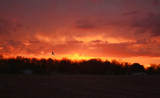 Outback Sunrise by Jimbobedsel, photography->sunset/rise gallery