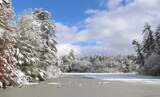 Snow January by Tomeast, photography->landscape gallery