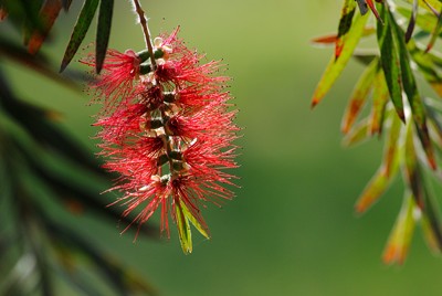 Click here to view at full resolution.