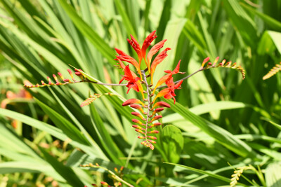 Click here to view at full resolution.