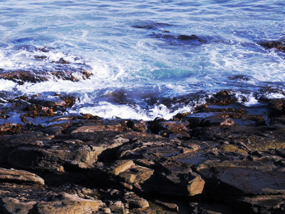 Click here to view at full resolution.