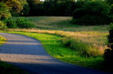 fields of green by solita17, Photography->Landscape gallery