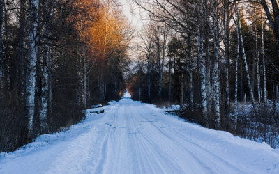 Click here to view at full resolution.