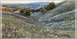 Lafayette Trail, Ca. by Flmngseabass, photography->landscape gallery