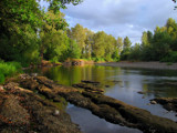 Molalla River by busybottle, photography->shorelines gallery