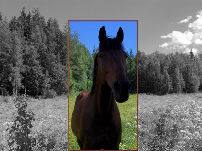 Click here to view at full resolution.