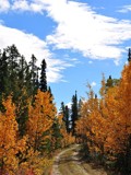 A Touch Of Yukon Fall 3 by bingwa, photography->landscape gallery