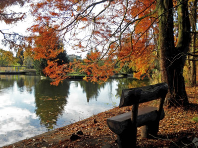 Click here to view at full resolution.