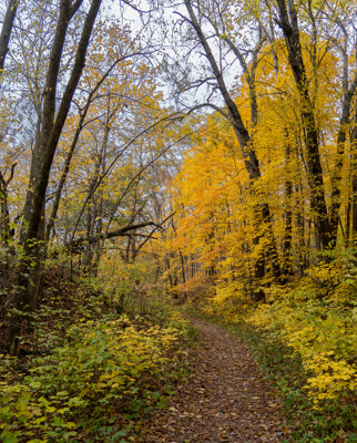 Click here to view at full resolution.