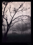 Dark Hour, Prelude by jesouris, Photography->Manipulation gallery