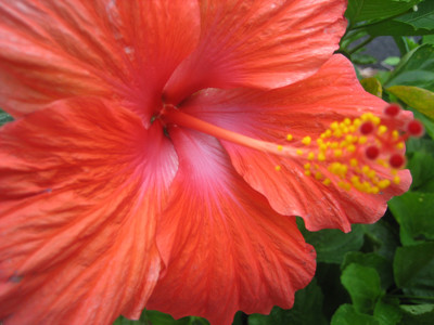 Click here to view at full resolution.