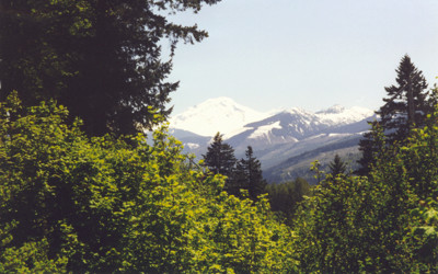 Click here to view at full resolution.