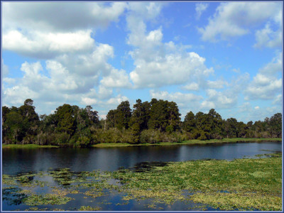 Click here to view at full resolution.