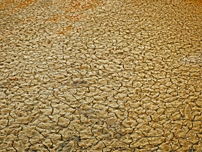 Click here to view at full resolution.