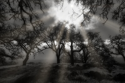 Click here to view at full resolution.