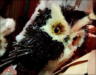 Click here to view at full resolution.