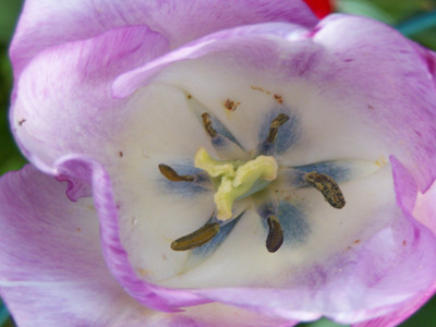 Click here to view at full resolution.