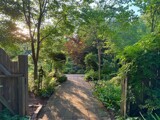 Evening at the Garden #2 by tigger3, photography->gardens gallery