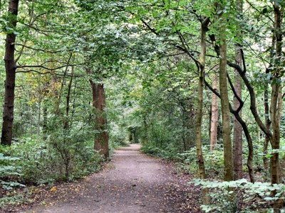 Click here to view at full resolution.