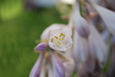 Click here to view at full resolution.