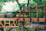 Trains and Bridges by Pistos, photography->trains/trams gallery