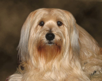 Click here to view at full resolution.