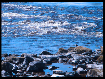 Click here to view at full resolution.
