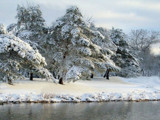 Pond &amp; Snow by RenieRenee, Photography->Shorelines gallery