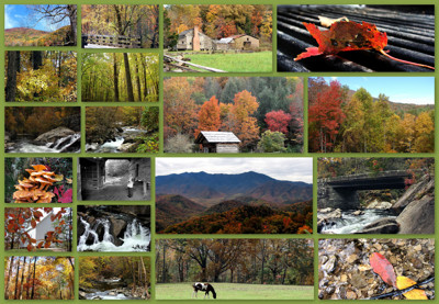 Click here to view at full resolution.