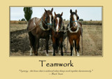 Teamwork Poster by LynEve, photography->general gallery