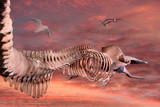 The Whale by Paul_Gerritsen, Photography->Manipulation gallery