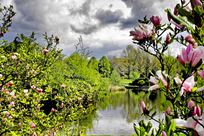 Click here to view at full resolution.