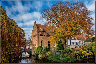 Click here to view at full resolution.