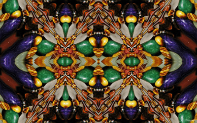 Click here to view at full resolution.