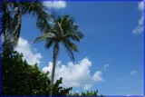 Florida's Summer skies by diaz3508, Photography->Skies gallery