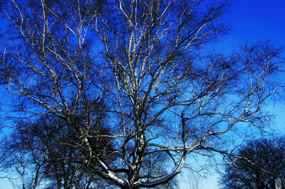 Click here to view at full resolution.