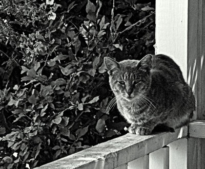 Click here to view at full resolution.