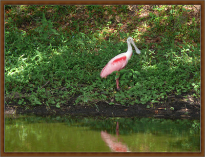 Click here to view at full resolution.