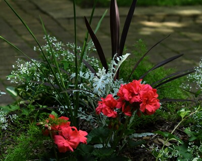 Click here to view at full resolution.