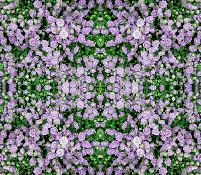 Click here to view at full resolution.
