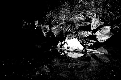Click here to view at full resolution.