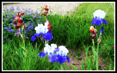 Click here to view at full resolution.