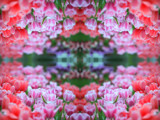 Spring Teaser #6 by HylianPrincess1985, Abstract->Fractal gallery