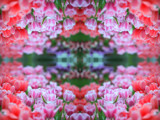 Spring Teaser #6 by HylianPrincess1985, Abstract->Fractal gallery